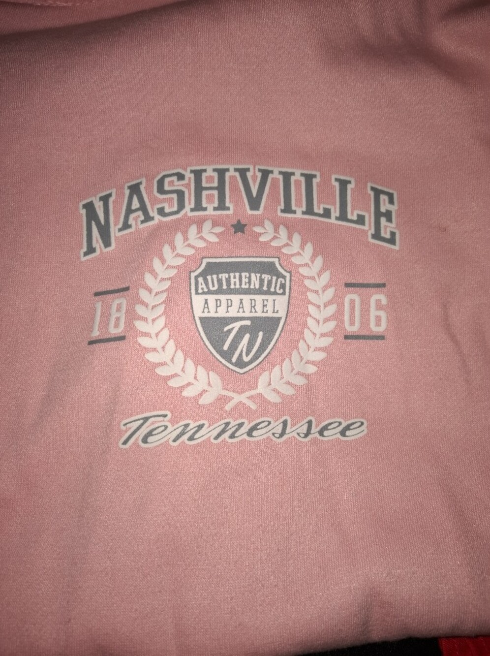 Authentic Apparel Life Women’s L Pink Fleece Full Zip Hoodie Nashville Graphic